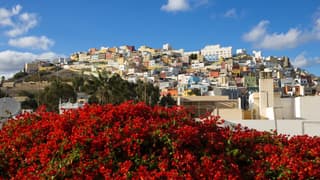 Las Palmas de Gran Canaria