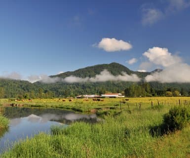 Abbotsford