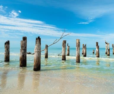 Southwest Florida International