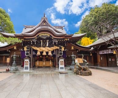 Flights from Fukuoka