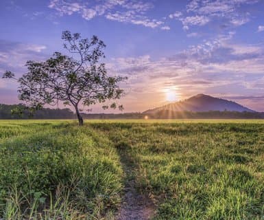 Flights to Kota Bharu
