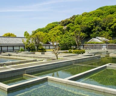 Flights from Matsuyama