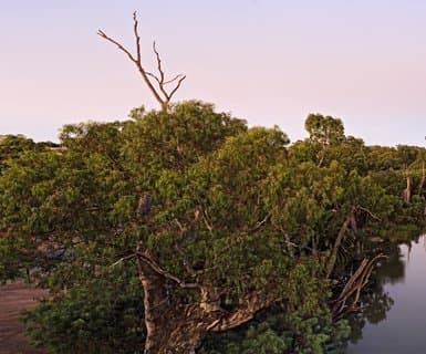 Mildura