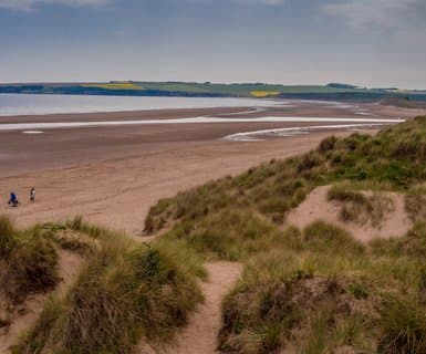 Montrose Regional