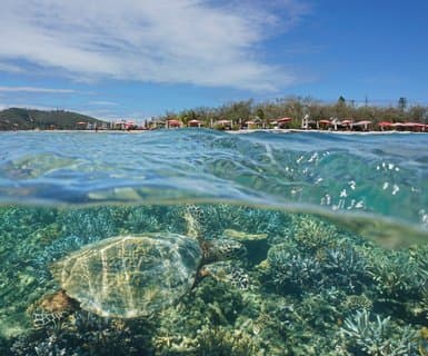 New Caledonia
