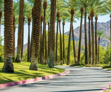 Flights from Palm Springs