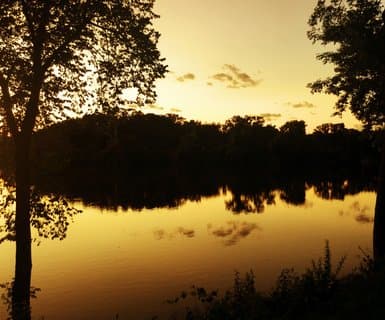 Appleton International