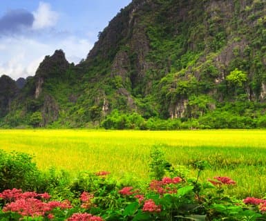 Flights to Đồng Hới