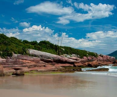 Flights to Florianópolis