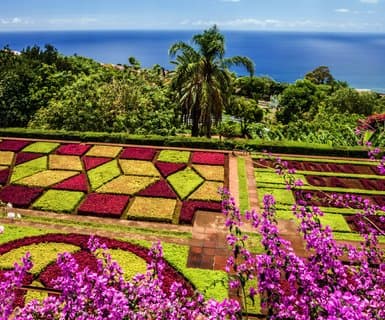 Flights to Funchal