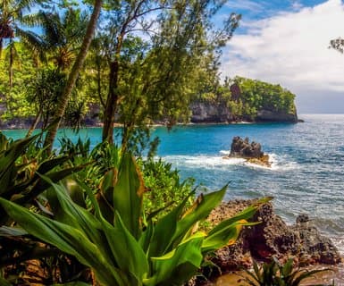 Hilo International