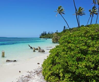 Isle of Pines