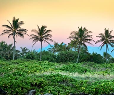 Kapalua