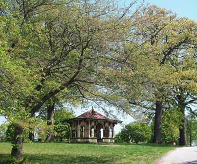 Arnold Palmer Regional