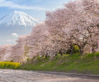 Flights from Shizuoka