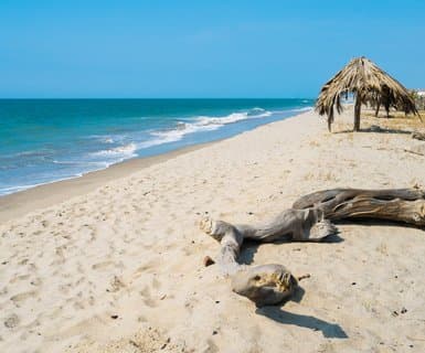 Flights to Tumbes