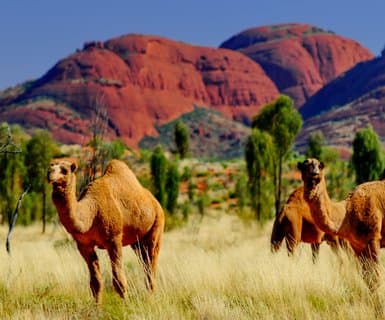 Ayers Rock