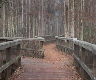 Valdosta Regional