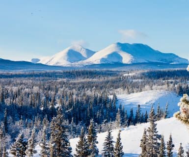 Erik Nielsen Whitehorse International