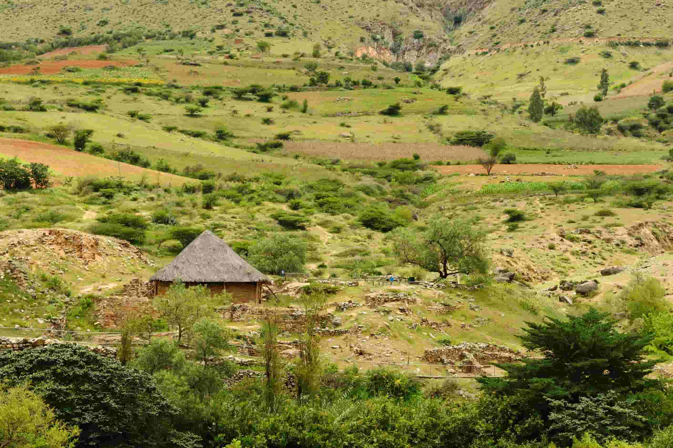 Cheap car rentals in Huánuco, Peru