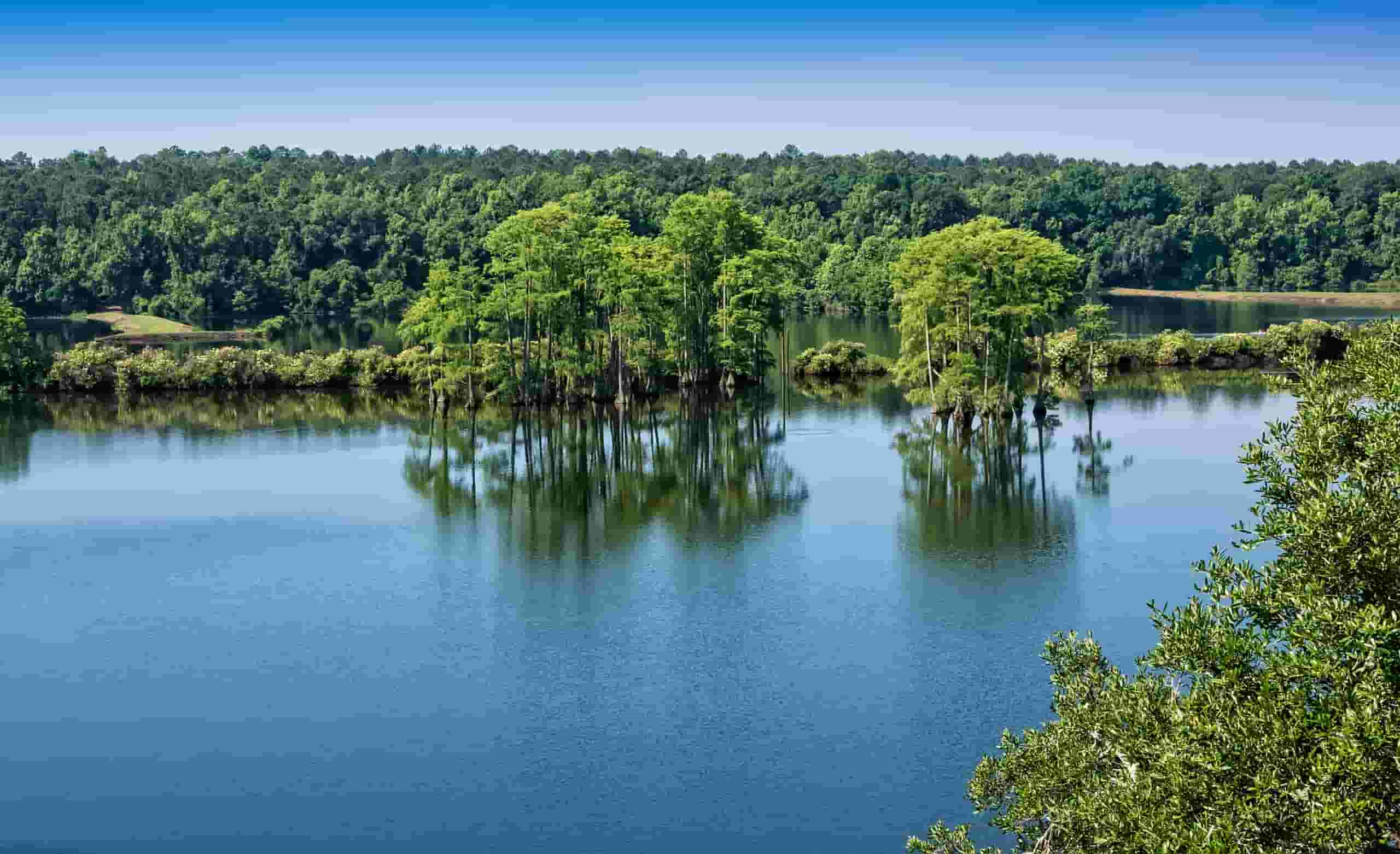 Cheap car rentals in Tallahassee, United States