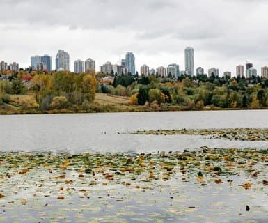 Deer Lake Regional