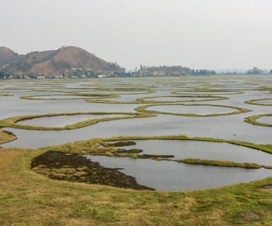 Imphal