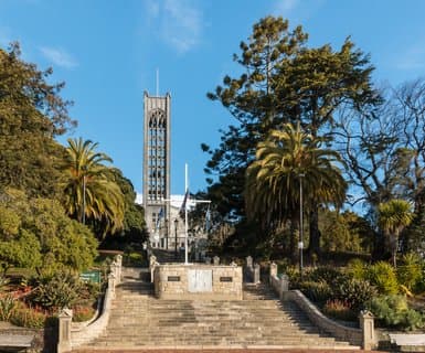Nelson