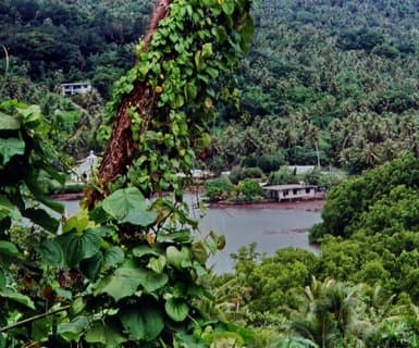 Pohnpei