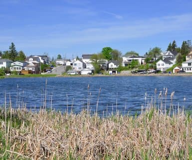 Timmins