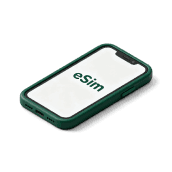 eSIM