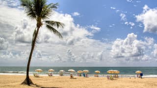 Recife