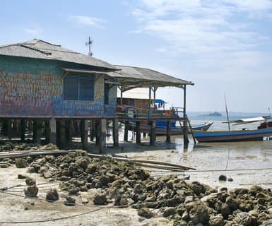 , - Bandar Lampung