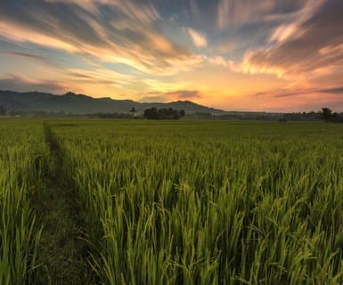 كوتاباتو سيتي