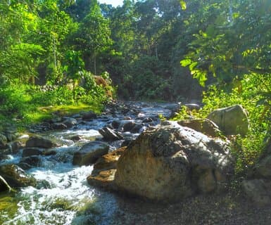 , - Gorontalo