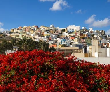 Las Palmas de Gran Canaria