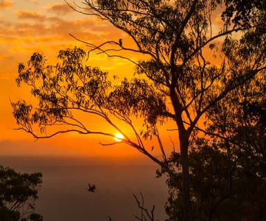 Maningrida