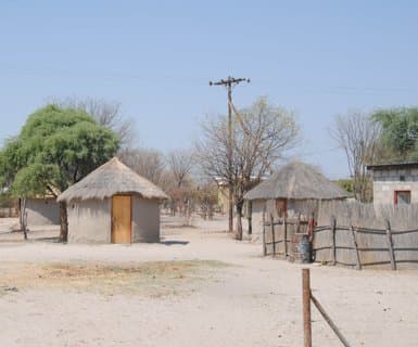 Maun