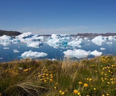 Narsaq