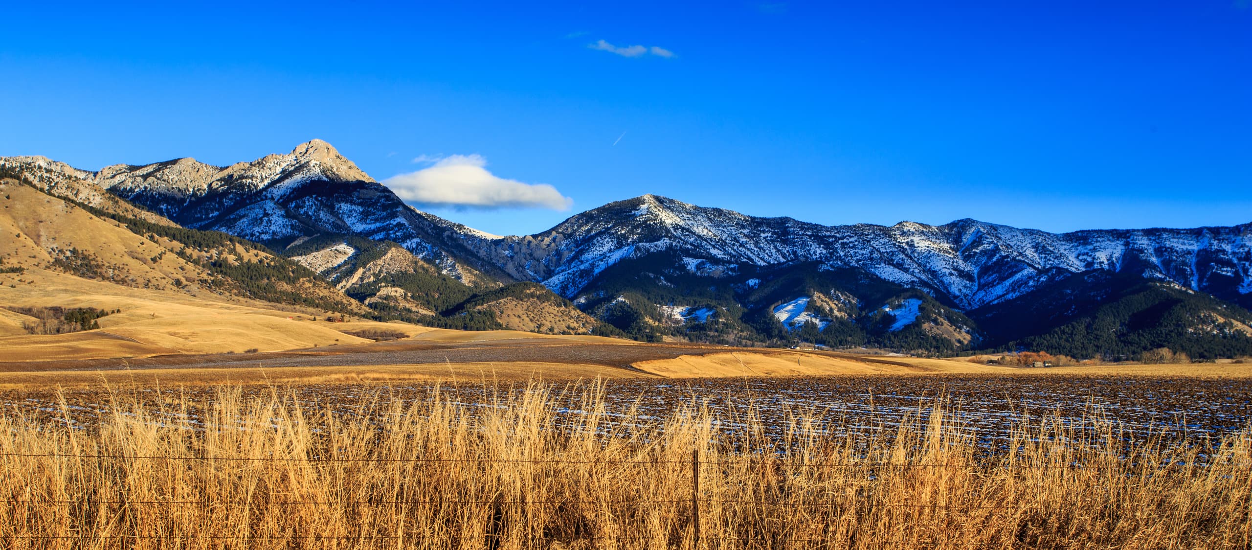 Cheap flights to Montana, United States