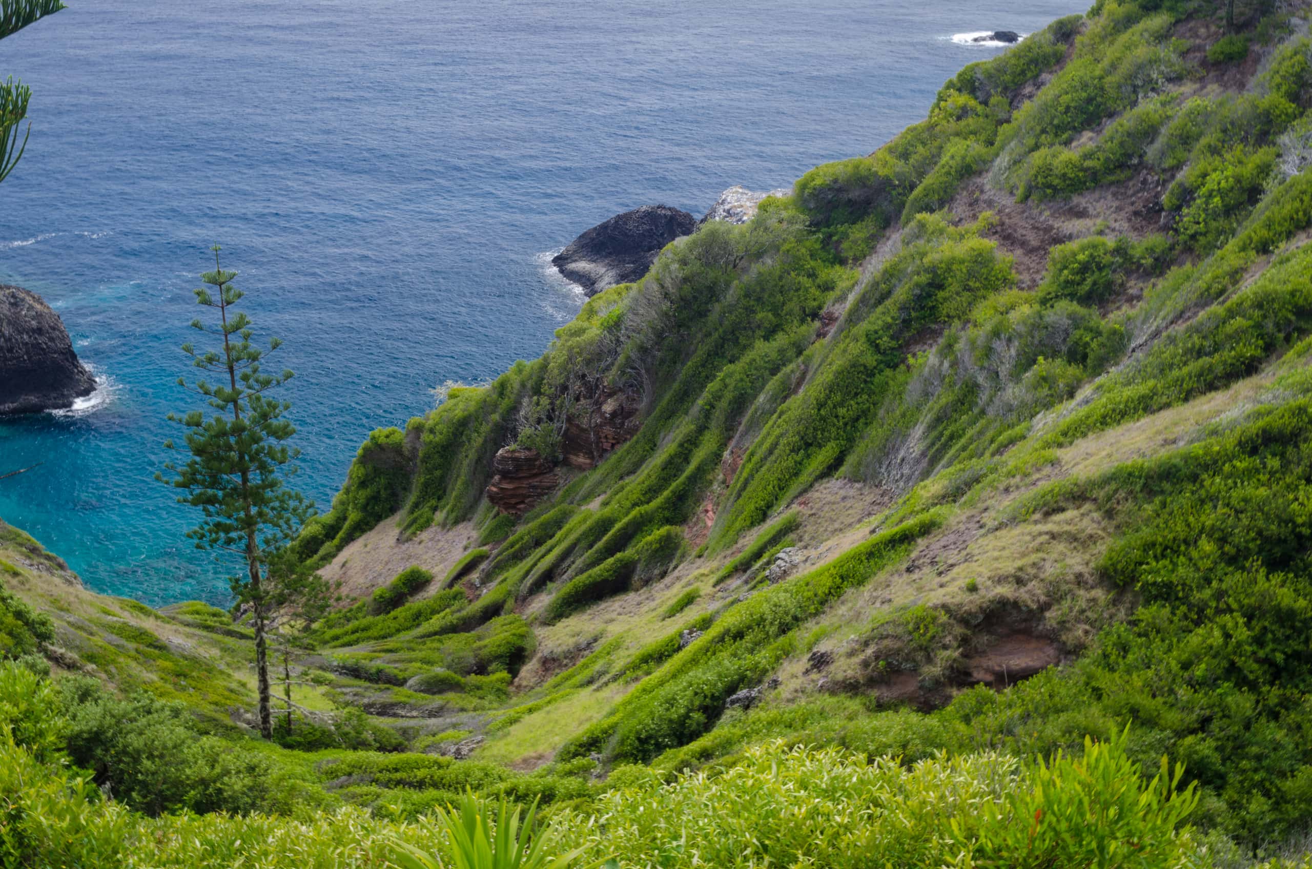 Cheap flights from Las Vegas to Norfolk from £62