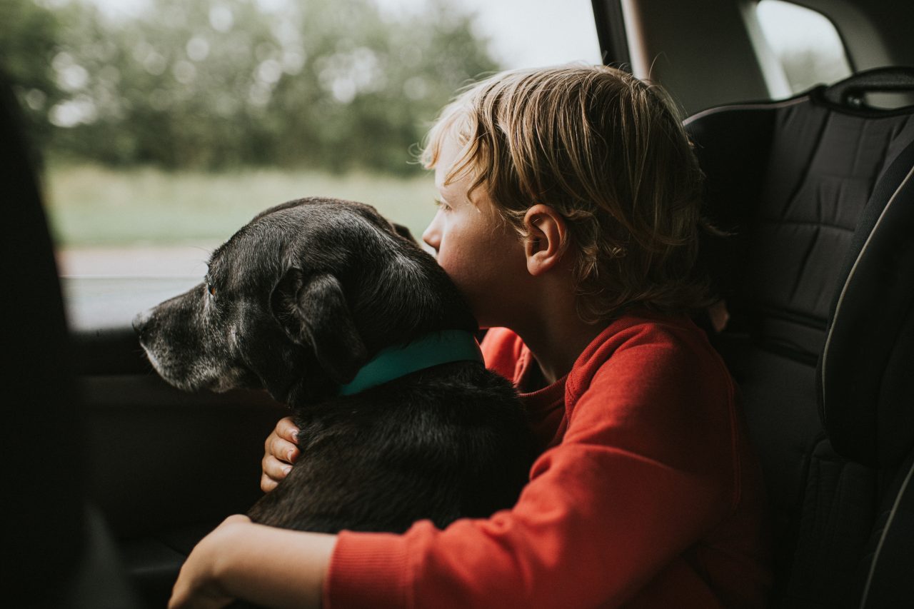 Child hugging a dog while looking out of a car window.