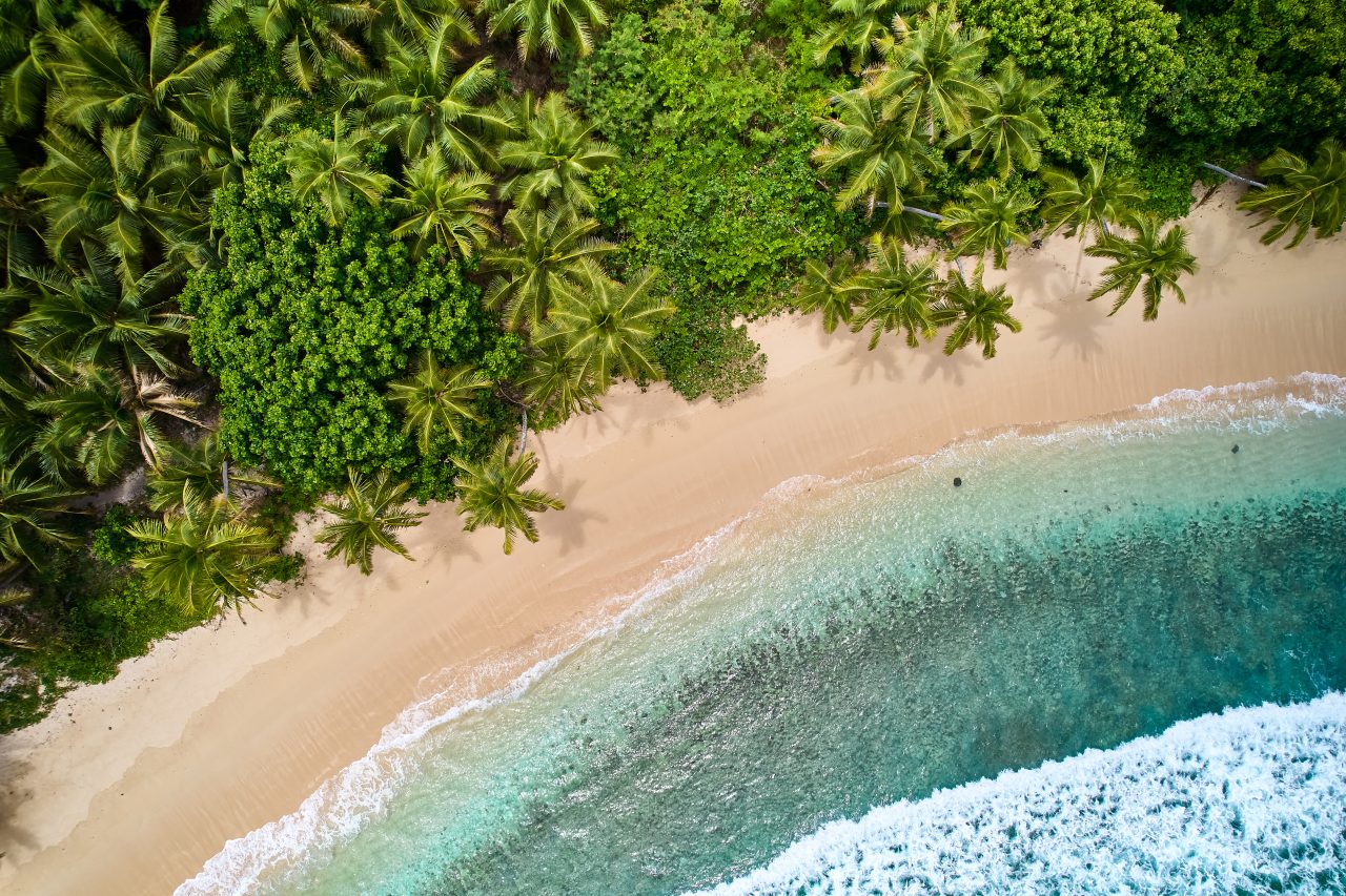 Straight down view of palm fringed beach on Waya Island in the Yasawa Islands